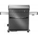 Napoleon Rogue® PRO-S 625 RSIB Edelstahl SIZZLE ZONE™ 7 Gasgrill mit Seiten- und Heckbrenner